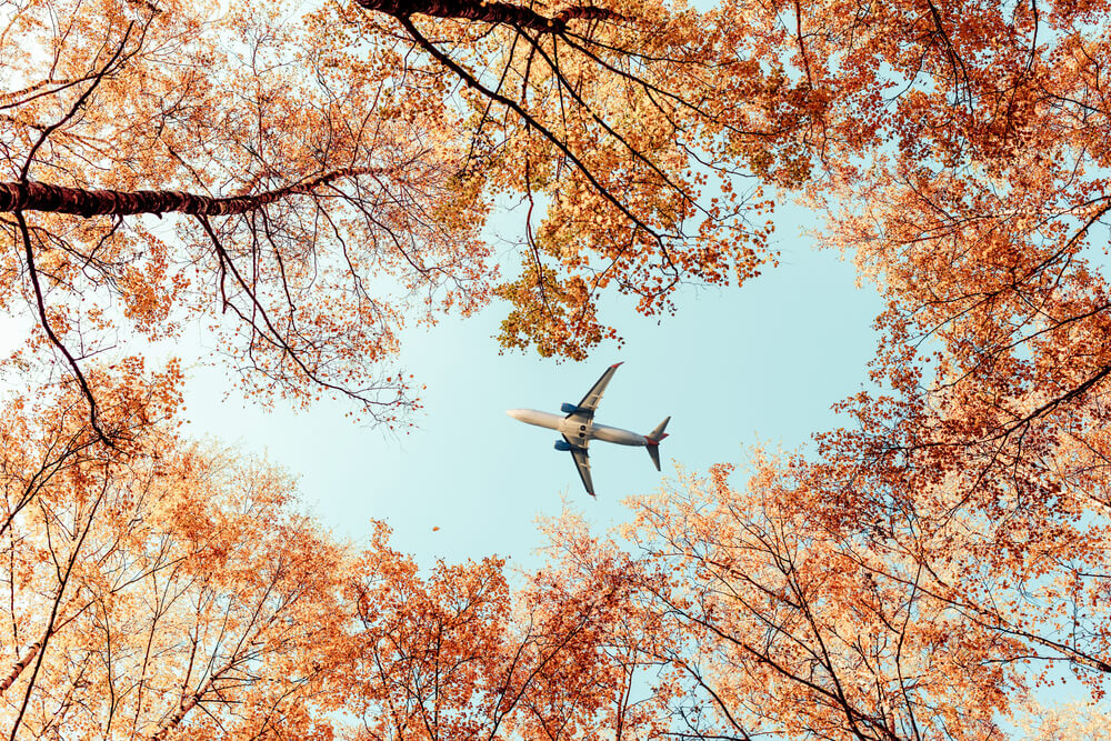 a-look-at-air-travel-demand-heading-into-fall-2022